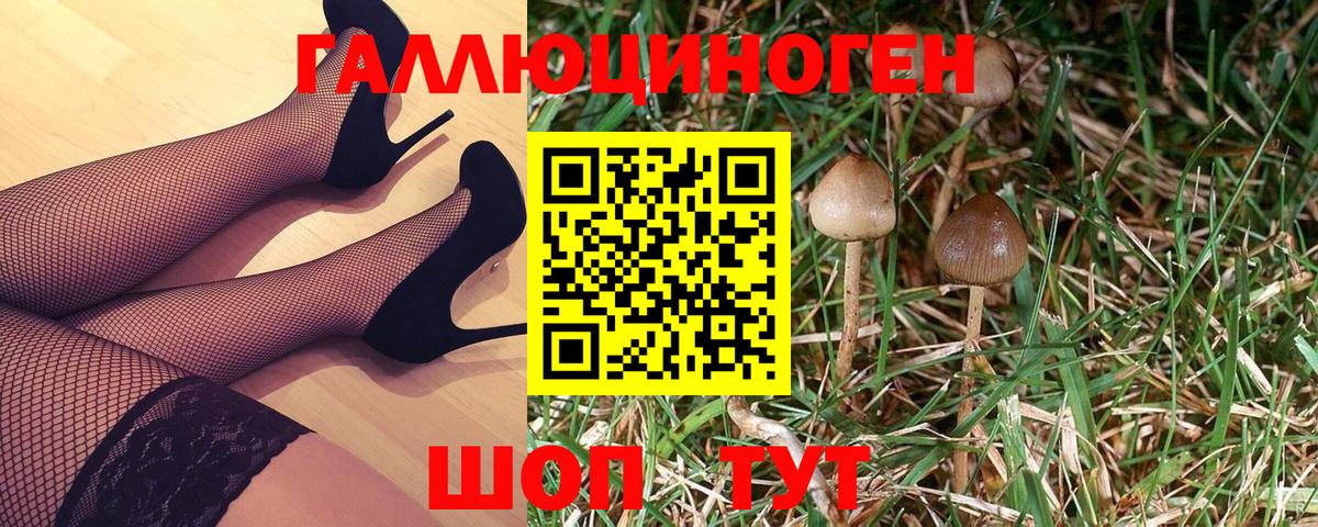 Псилоцибиновые грибы GOLDEN TEACHER Канаш